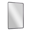 Large Rectangular Accent Mirror with 2 Inch Deep Iron Frame in Black - 48