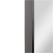 Large Rectangular Accent Mirror with 2 Inch Deep Iron Frame in Black - 48