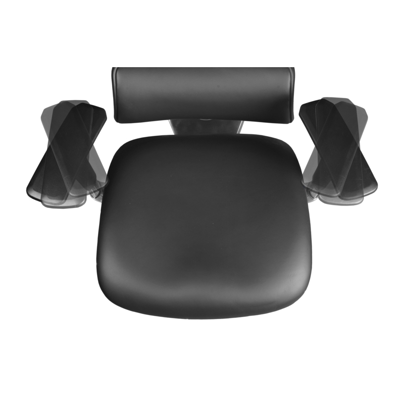 Omega Ergonomic Leather Executive Office Chair with Headrest/Adjustable Lumbar Support - Black