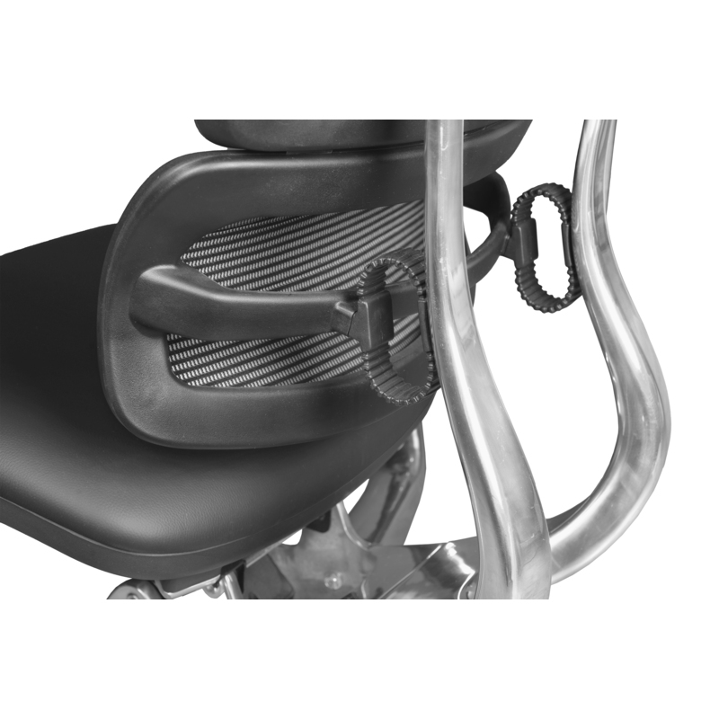 Omega Ergonomic Leather Executive Office Chair with Headrest/Adjustable Lumbar Support - Black