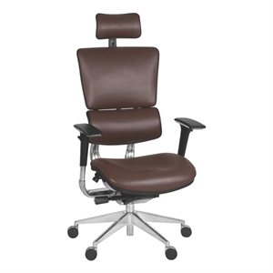 Omega Ergonomic Leather Executive Office Chair with Headrest/Adjustable Lumbar Support - Chocolate