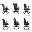 Regency Cosmo Ergonomic Mesh Mid-Back 3-Paddle Task Chair with Arms- Black