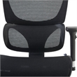 Omega Mesh O-2 Tech Ergonomic Office Chair w/ Headrest/Lumbar Support - Black