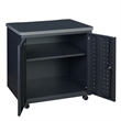 Regency Mesa Steel Mobile Locking 2-Door Storage Cabinet 30X 23.25