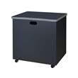Regency Mesa Steel Mobile Locking 2-Door Storage Cabinet 30X 23.25