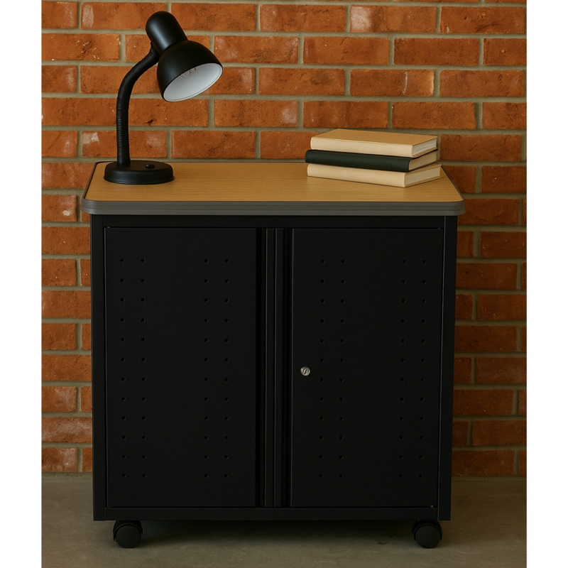 Regency Mesa Steel Mobile Locking 2-Door Cabinet 30