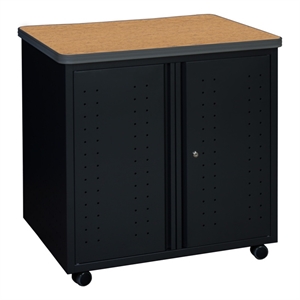 Regency Mesa Steel Mobile Locking 2-Door Cabinet 30&quot x 23.25&quot - Medium Oak/Black