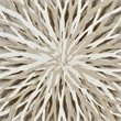 Renwil Cocktail Polystyrene and Paper Wall Art in White and Beige