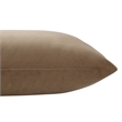 Alchemilla 20X20 Indoor Pillow Camel