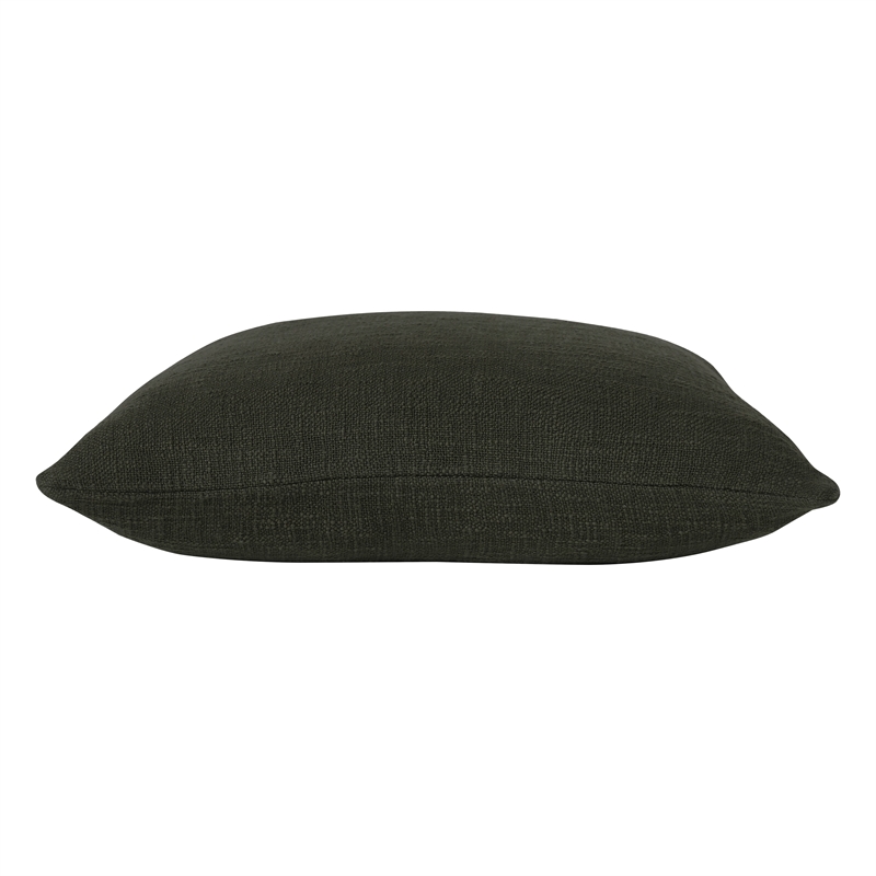 Sandro 22 X 22 Indoor Pillow Olive