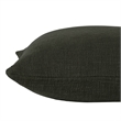 Sandro 22 X 22 Indoor Pillow Olive