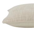 Amal 20 X 20 Indoor Pillow Beige