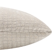 Lizzy 20X20 Indoor Pillow Beige