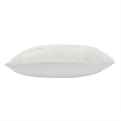 Terrah 20X20 Indoor Pillow Ivory