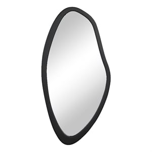 Trani 40&quot H x 19.75&quot W Wall Mirror Black