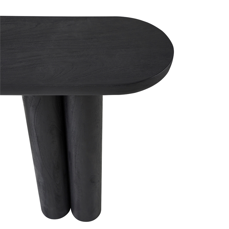 Dayna Indoor Mango Wood Console Table Black