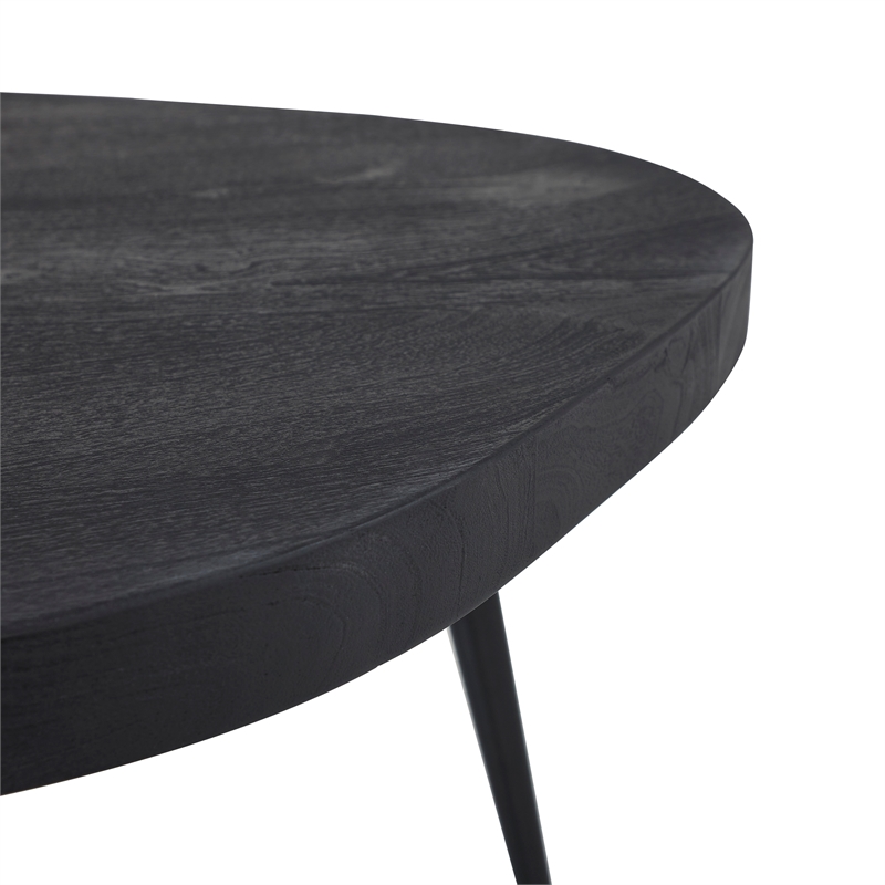 Parson Indoor Mango Wood  Coffee Table Matte Black