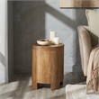 Salvatore Indoor Mango Wood Side Table Light Brown