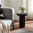 Quintin Indoor Mango Wood Side Table Black