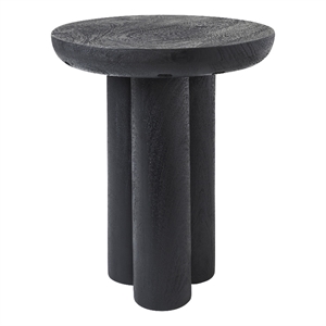 Quintin Indoor Mango Wood Side Table Black
