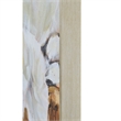 Fleurimont 45