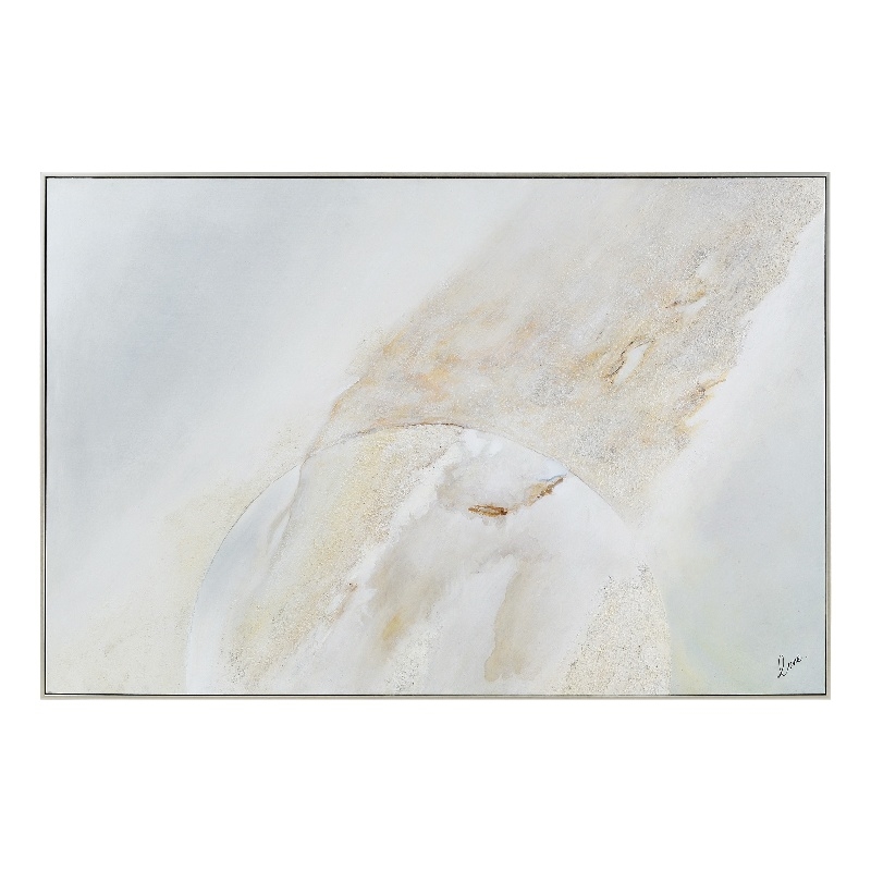 Dimona 40
