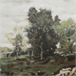 Nature 40