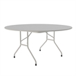 Correll CF Series 29x60
