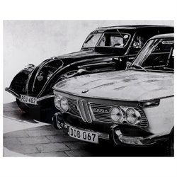 Prints / Paintings