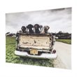 Yosemite Home Decor 'Old Friends' Glass Photographic Print in Multi-Color