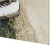 Yosemite Home Decor 'Old Friends' Glass Photographic Print in Multi-Color