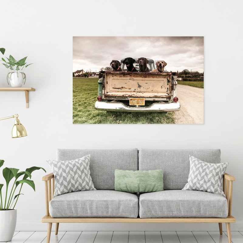 Yosemite Home Decor 'Old Friends' Glass Photographic Print in Multi-Color