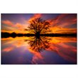 Yosemite Balance Glass Photographic Print