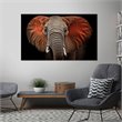 Yosemite Loxodonta Glass Photographic Print