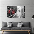 Yosemite Home Decor 'The Red Bike' Glass Photographic Print in Multi-Color