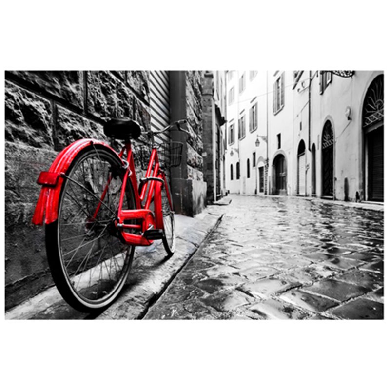 Yosemite Home Decor 'The Red Bike' Glass Photographic Print in Multi-Color