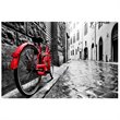 Yosemite Home Decor 'The Red Bike' Glass Photographic Print in Multi-Color