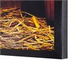 Yosemite Home Decor 'Deep Rooted' Tempered Glass/Wood Photo in Multi-Color