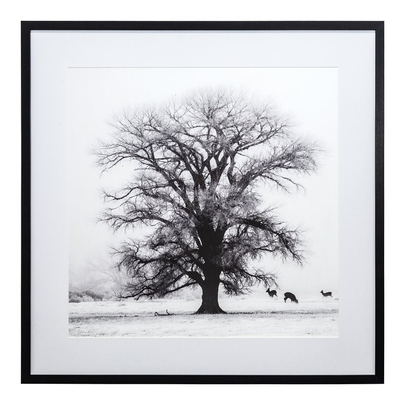 Yosemite Home Decor 