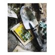 Yosemite Home Decor 'Earthy Charm II' Glass/Wood Photo in Multi-Color