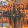 Yosemite Home Decor 