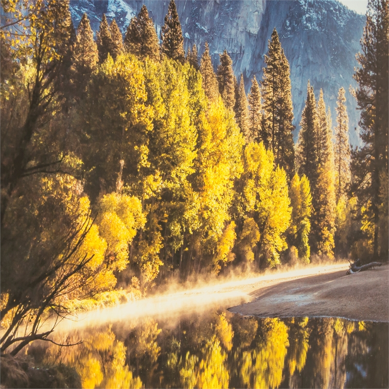 Yosemite Home Decor 