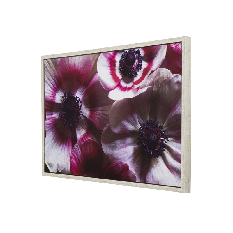 Yosemite Home Decor 'Anemone II' 38
