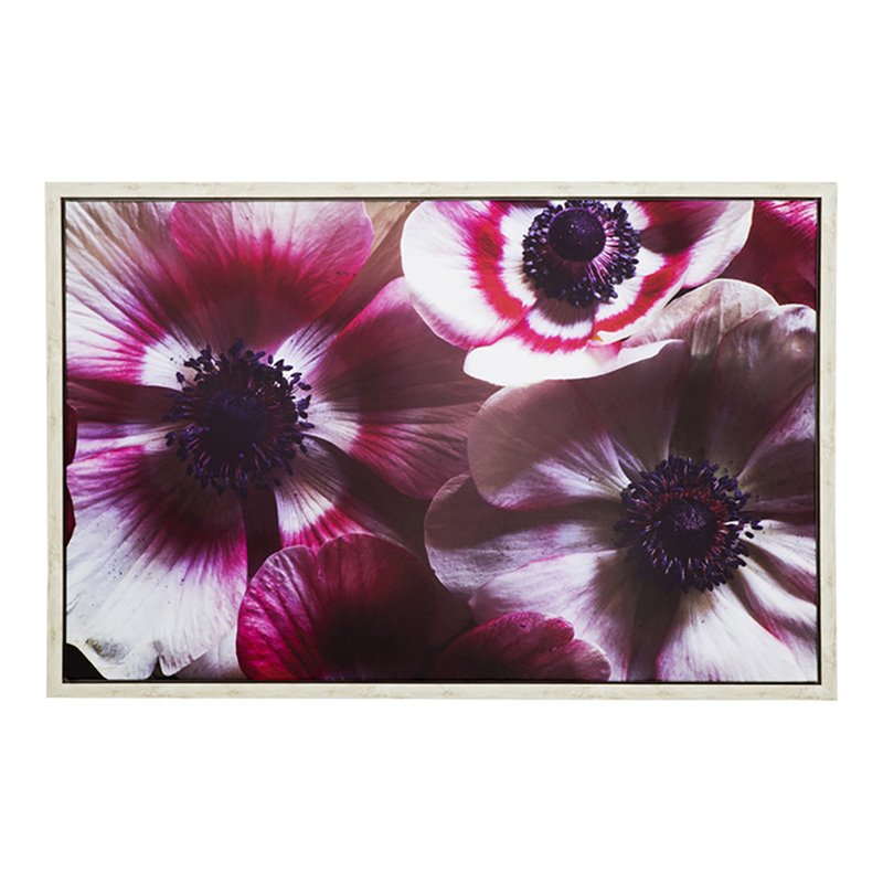 Yosemite Home Decor 'Anemone II' 38
