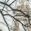 Yosemite Home Decor 