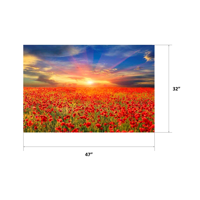 Yosemite Home Decor 