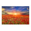 Yosemite Home Decor 