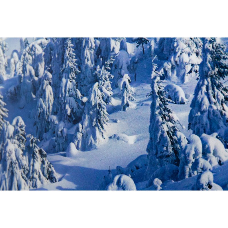Yosemite Home Decor 