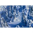 Yosemite Home Decor 