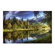 Yosemite Home Decor 
